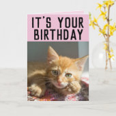 CUTE GINGER CAT KITTEN FILLES CARTES D'ANNIVERSAIR (Fleur jaune)