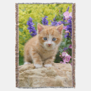 Cute Ginger Cat Kitten Flower Garden Photo - Deken