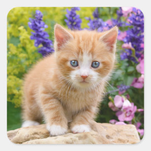 Cute Ginger Cat Kitten in een Flowery Garden Foto  Vierkante Sticker