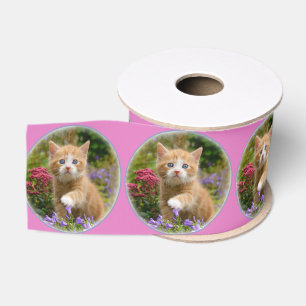 Cute Ginger Cat Kitten in een tuinfoto Grosgrain Lint