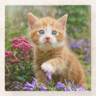 Cute Ginger Cat Kitten in Garden Funny Photo - Glazen Onderzetter