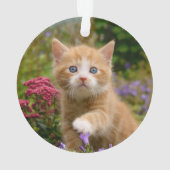 Cute Ginger Chat Kitten dans un jardin Photo Portr (dos)