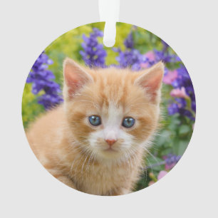 Cute Ginger Chat Kitten en Jardin Fleuri Portrait