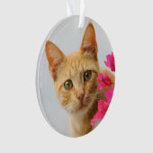 Cute Ginger Chat Kitten Vous regarder autour acryl (devant)