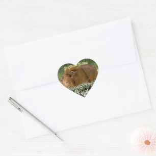 Cute Ginger Guinea Expling Natuur Foto Aangepast Hart Sticker