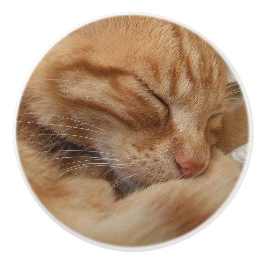 Cute Ginger Oranje Cat Dresser Knobs Keramische Knop (Voorkant)