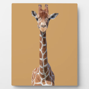 Cute giraffe face fotoplaat