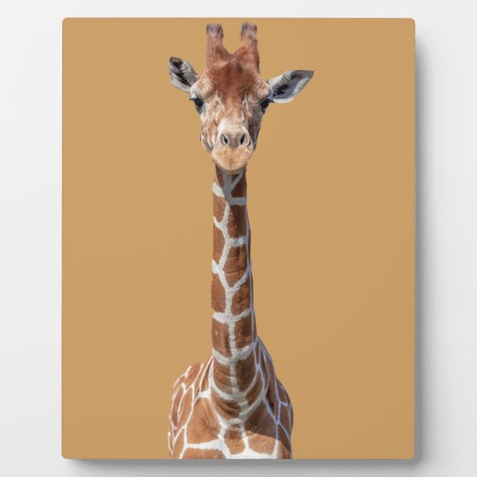 Cute giraffe face fotoplaat (Voorkant)