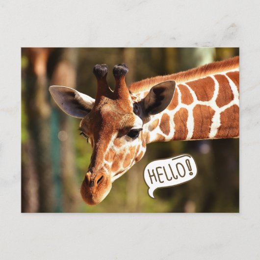 Cute Giraffe Head Hallo Briefkaart (Voorkant)