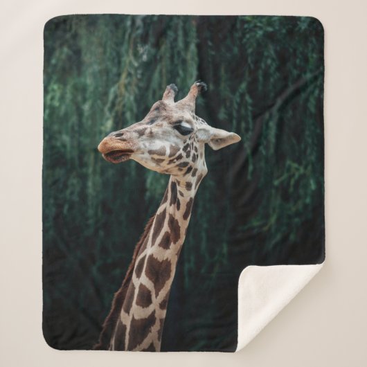 CUTE GIRAFFE PORTRAIT SHERPA DEKEN (Voorkant)