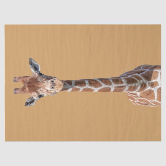 Cute giraffe tissuepapier (Voorkant)
