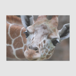 Cute Giraffe Tissuepapier