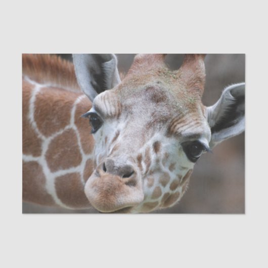 Cute Giraffe Tissuepapier (Voorkant)