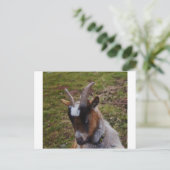 Cute Goat. Briefkaart (Staand voorkant)