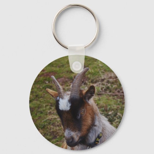 Cute Goat. Sleutelhanger (Voorkant)