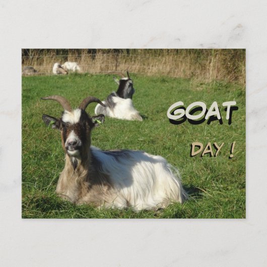 Cute Goats Cust. Text Goat Day Briefkaart (Voorkant)