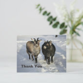 Cute Goats Snow Foto Hartelijk dank Briefkaart (Staand voorkant)