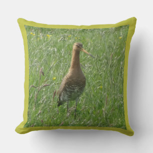 Cute Godwit in Grass Sierkussen