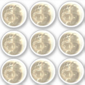 Cute Gold Mirror bal 9 Sticker Set (Voorkant)