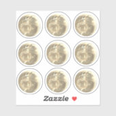 Cute Gold Mirror bal 9 Sticker Set (Vel)