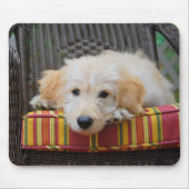 Cute Golden Doodle Puppy Mousepad Muismat (Voorkant)