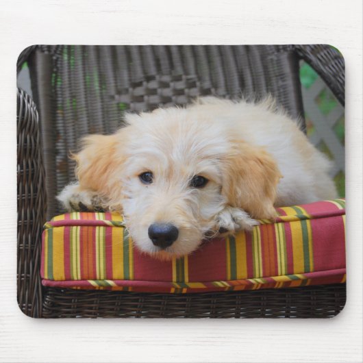 Cute Golden Doodle Puppy Mousepad Muismat (Voorkant)