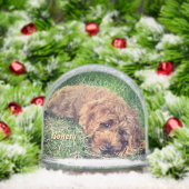 Cute Golden Doodle Snow Globe (Noël)