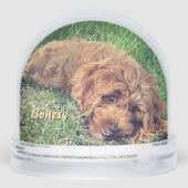Cute Golden Doodle Snow Globe (Arrière)
