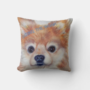 CUTE GOLDEN POMERANIAN KUSSEN