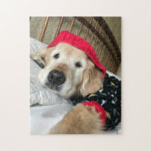 Cute Golden Retriever Dog in Pajamas Legpuzzel