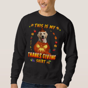 Cute Golden Retriever Dog in pomkin Trui