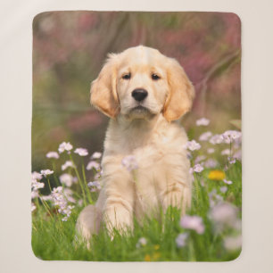 Cute Golden Retriever Dog Puppy Face Animal Foto Sherpa Deken
