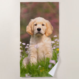 Cute Golden Retriever Dog Puppy Face Animal Foto Strandlaken