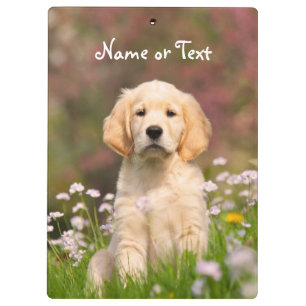 Cute Golden Retriever Dog Puppy Foto gepersonalise Klembord