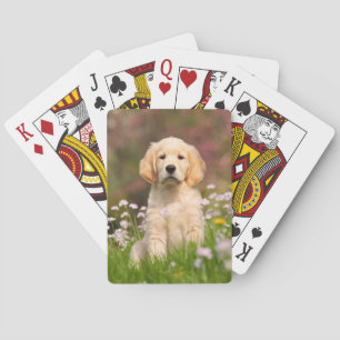 Cute Golden Retriever Dog Puppy Photo Portret - Pokerkaarten