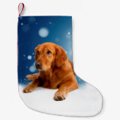 Cute Golden Retriever Dog Sitting in sneeuwtranen Kleine Kerstsok (Voorkant)
