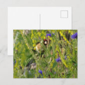 Cute Goldfinch in Wild Flowers Field DIY Briefkaar Briefkaart (Voorkant / Achterkant)