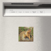 Cute Gopher Magnets de la faune (In Situ (Lave-vaisselle))