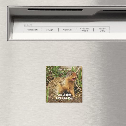 Cute Gopher Magnets de la faune (In Situ (Lave-vaisselle))