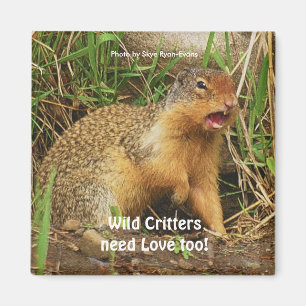 Cute Gopher Magnets de la faune