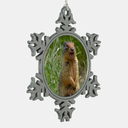 Cute gopher tin sneeuwvlok ornament (Links)