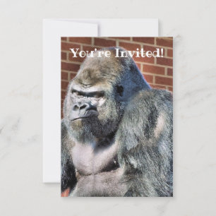 CUTE GORILLA AANKONDIGING