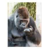 CUTE GORILLA FOTO AFDRUK (Voorkant)