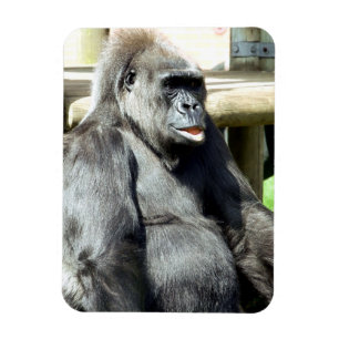CUTE GORILLA MAGNEET