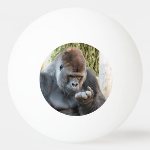 CUTE GORILLA PINGPONGBALLEN