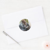 CUTE GORILLA RONDE STICKER (Envelop)