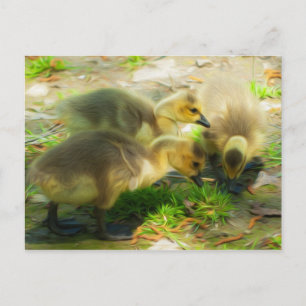 Cute Gosling Briefkaart