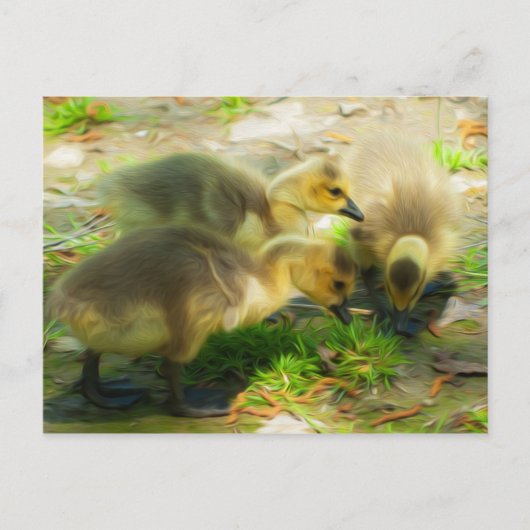 Cute Gosling Briefkaart (Voorkant)