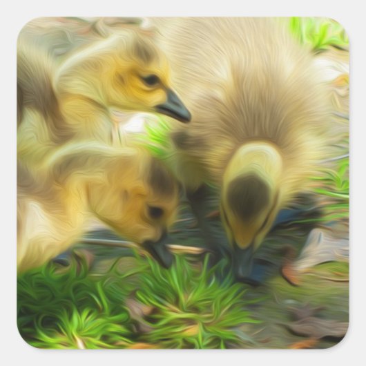 Cute Gosling Vierkante Sticker (Voorkant)