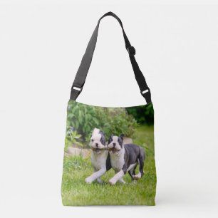 Cute grappige Boston Terrier dogs puppies spelen - Crossbody Tas